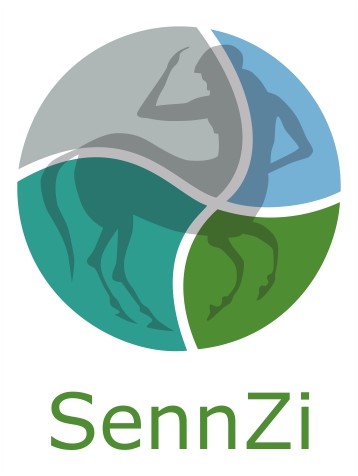 SennZi logo